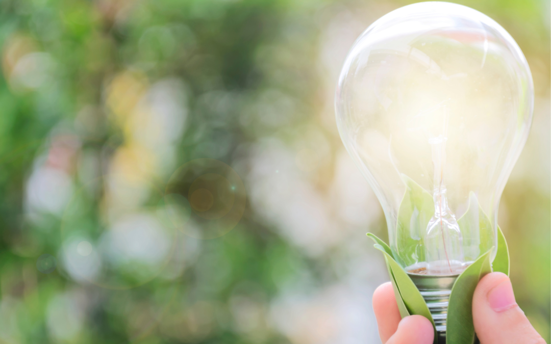 Vantaggi dell’Energia Ecosostenibile: Verso un Futuro Sostenibile