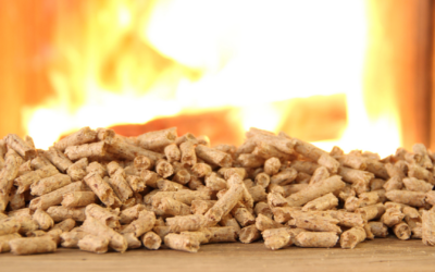 Termocamini a pellet: il modo intelligente, moderno ed efficiente di riscaldare la casa