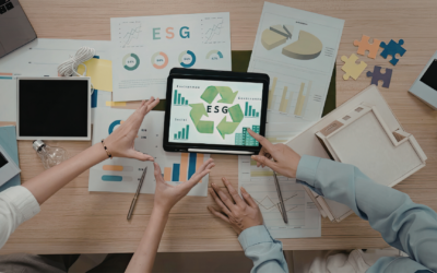 Sustainability consulting a Torino: come ridurre i costi energetici aziendali e investire nel futuro